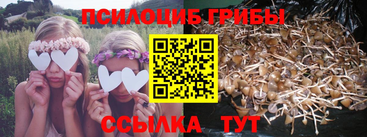 Псилоцибиновые грибы MAGIC MUSHROOMS Красноуфимск